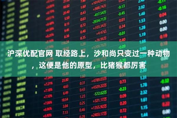 沪深优配官网 取经路上，沙和尚只变过一种动物，这便是他的原型，比猪猴都厉害