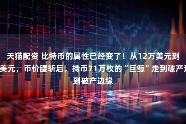 天猫配资 比特币的属性已经变了！从12万美元到6万美元，币价腰斩后，持币71万枚的“巨鲸”走到破产边缘